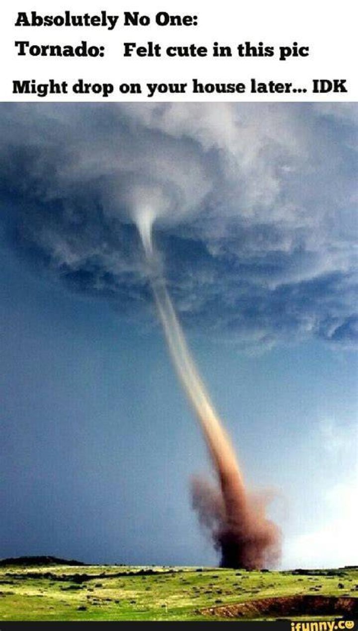 Absolutely No One Tornado Felt cute in this pic Might drop on your