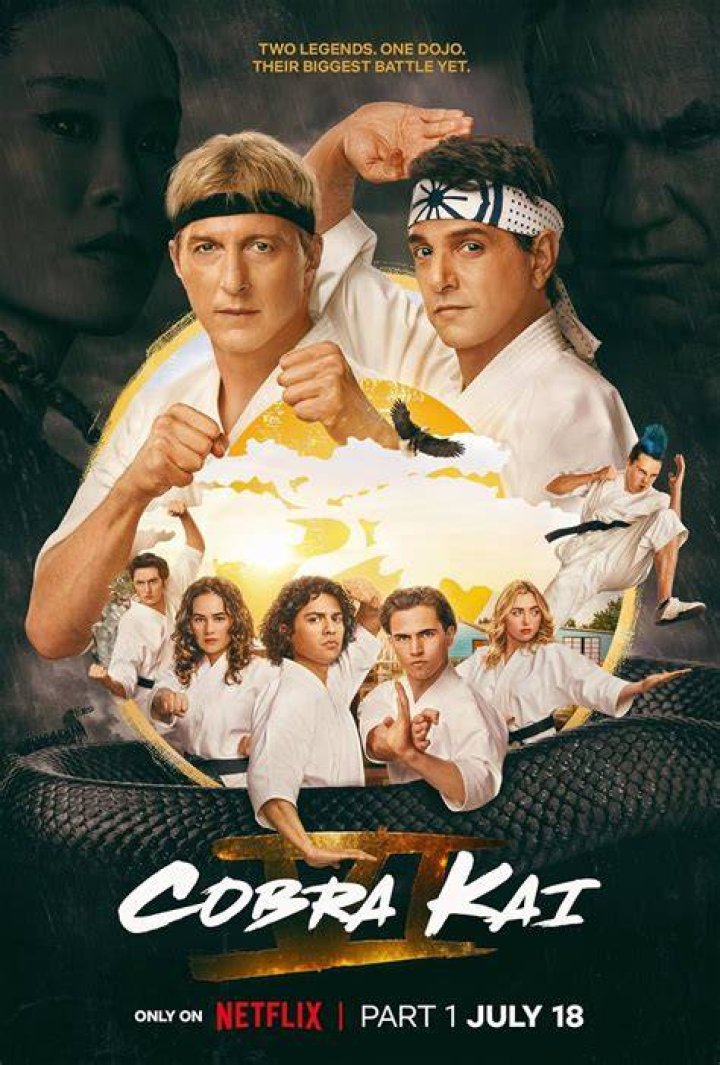 Cobra Kai (TV Series 2018 ) P&oacute;steres &mdash; The Movie Database (TMDb)