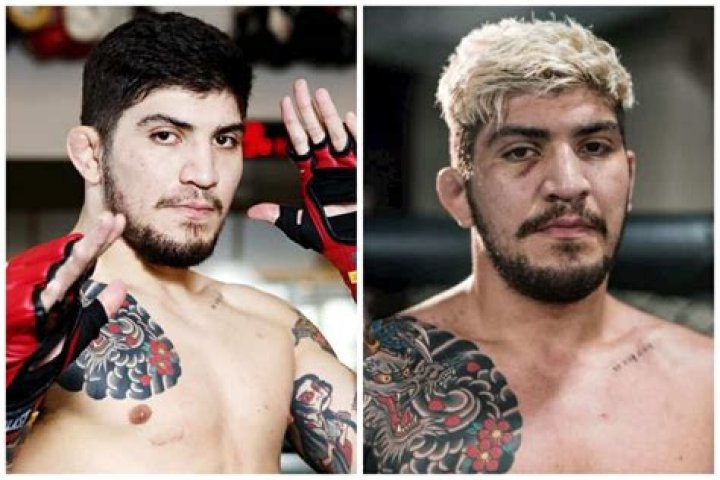 Dillon Danis, Whos He? Life, Career, Net Worth, Height & More