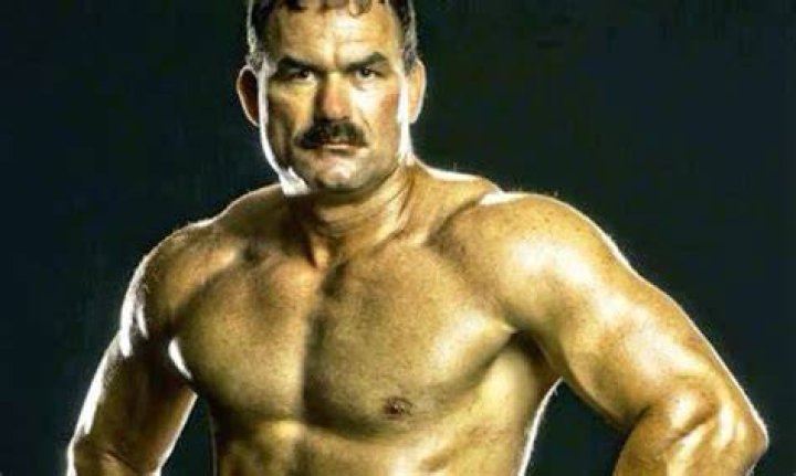 Don Frye Acting Career