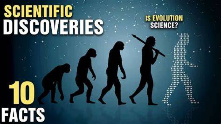 New Discoveries And Exclusive Insights