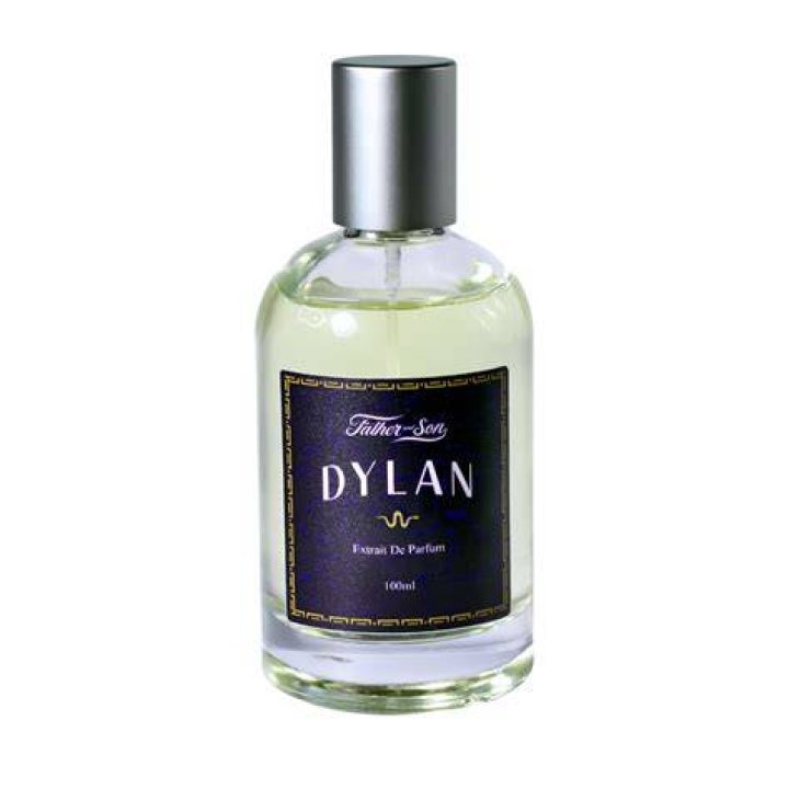 Of Dylan (above), the father added: 'but he was not willing to help himself. Now he has beat my wife, best friend to death in the most brutal way imaginable, so I am done with him'