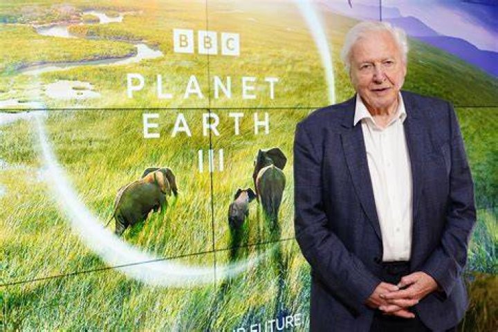 Sir David Attenborough to present new natural history series for BBC