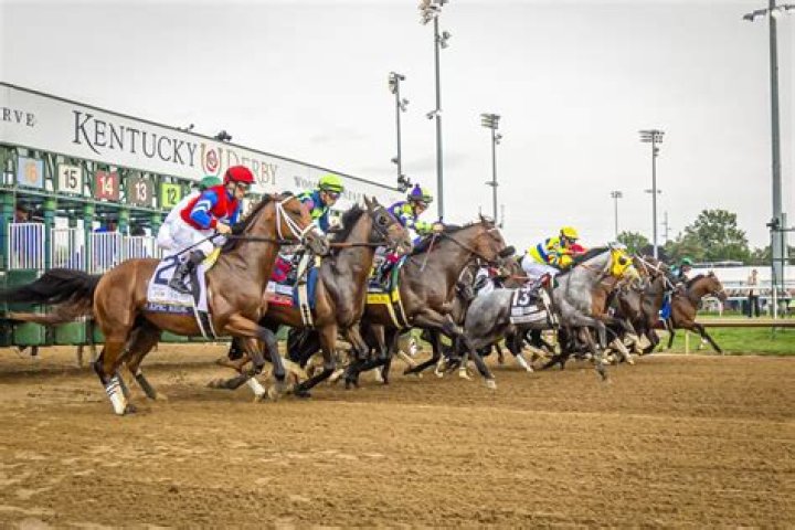 Unveiling The Price Of Kentucky Derby Horses: Insights And Discoveries