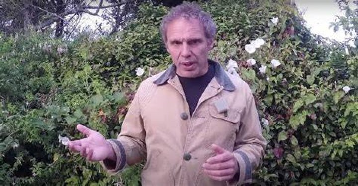Unveiling The World Of Paul Harrell: Expertise, Education, And Impact