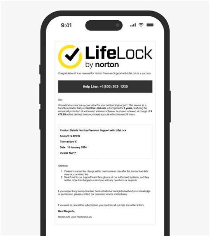 Vad &auml;r Norton LifeLock email scam