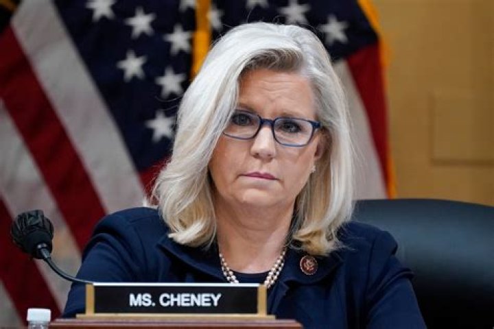 Who are Liz Cheney's children? DailyNationToday